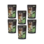 Crocus 6 Adet Tahılsız Yavru Kedi Tavuklu  Pouch Jöleli Yaş Mama 85 G  Skt: 12/2024 - 1