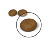 Royal Canin Hair & Skin Care Kuru Kedi Maması 2 kg - 3