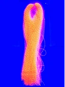 eagenset Fosforlu Karanlıkta Parlayan, Turuncu Glow Luminous in Dark Ultraviyole (UV) Neon 1 Adet Poşet Çapari Simi - 12
