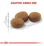 Royal Canin Sterilised Kısırlaştırılmış Kedi Maması 10 Kg - 6