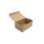 25x16x10 cm Boş Karton Kutu Toptan Taşıma Kolisi Kutu Ambalaj Tek Oluklu Koli 100 Adet - 1