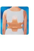 Jeweet Korse Jeweet Hyperextansion Korse Gövde Yüksekliği 50--60 cm MEDİUM - 3