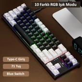 Valkyrie Blue Switch Dark Alien K710 71 Tuş RGB Gaming Klavye - Mekanik Mavi Tuş Type-C  - 2 Kademe Yükseklik BeyazSiyah - 2