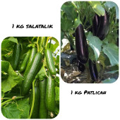 PATLICAN 1 KG SALATALIK 1 KG - 1