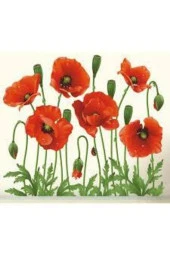 25 Adet Tohum Kırmızı Gelincik Çiçeği Tohumu Sürpriz Saksı Toprak Hediye Bonsai Ağacı Tohumuludur thumbnail 1