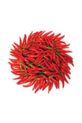 100 Eko Paket Arnavut Biberi Tohumu thumbnail 1