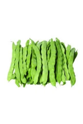 100 Adet Tohum Eko Paket Istanbul Boncuk Ayşe Kadın Kılçıksız Fasulye Tohumu Sürpriz Hediye Tohum thumbnail 1