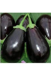 100 Adet Tohum Mega Paket Adana Dolmalık Mor Patlıcan Tohumu Yerli Orjinal Tohum Sürpriz Hediyelidir - 1