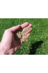 500 gr İthal 3'lü Çim Tohumu thumbnail 1