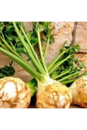 Kereviz Tohum 5 Adet - 1