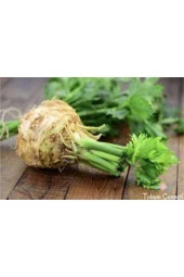 Kereviz Tohum 5 Adet - 3