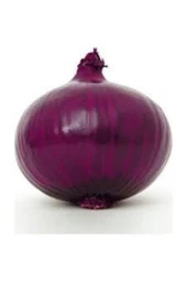 Nadir Ithal Mor Soğan Kışlık Uzun Ömürlü Tohum 100 Adet thumbnail 4