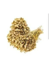 20 Adet Tohum Üzerlik Tütsü Egzotik Kokulu Nazar Otu thumbnail 4