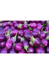 Tohum Mini Mor Patlıcan Tohum İthal Nadir Thayland Patlıcanı 5 Adet - 2