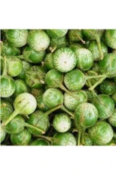 5 Adet Tohum Nadir Yeşil Dolmalık Patlıcan Tohum Ithal Nadir Thayland Patlıcanı Sürpriz Heidyeli thumbnail 3