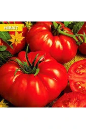 250 Adet Tohum Süper Paket Iri Mis Kokulu Köy Yerli Tarla Domatesi Sürpriz Hediye Tohum - 1