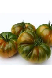 250 Adet Tohum Süper Paket Iri Mis Kokulu Köy Yerli Tarla Domatesi Sürpriz Hediye Tohum - 2