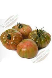250 Adet Tohum Süper Paket Iri Mis Kokulu Köy Yerli Tarla Domatesi Sürpriz Hediye Tohum - 3