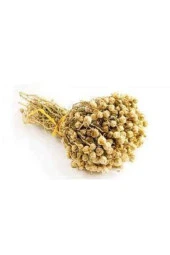 20 Adet Tohum Üzerlik Tütsü Egzotik Kokulu Nazar Otu Tütsü Nazara Karşı Şifalı Olduğu Bilinen Tütsü - 4