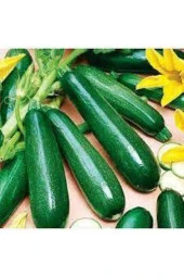 75 Adet Tohum Eko Paket Kara Kolsuz Kabak Tohumu Lezzetli Kabak Sürpriz - 1