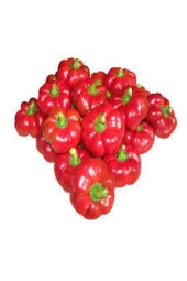 30 Adet Tohum Nadir Bulunan Domates Biberi Tohumu Sürpriz Hediye Tohum thumbnail 1