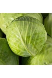 20 Adet Tohum Beyaz Lahana Tohumu Yeni Sezon Sürpriz Hediye Tohumlu thumbnail 2