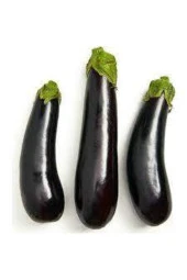 100 Adet Tohum Eko Paket Diyarbakır Pin Kemer Patlıcan Tohumu thumbnail 1