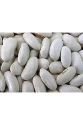 350 Adet Tohum Süper Paket Beyaz Fasulye Tohumu Kuru Fasulye Tohumu Beyaz Süpriz Heidye Sebze Tohum thumbnail 2