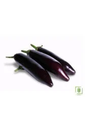 100 Adet Tohum Eko Paket Diyarbakır Pin Kemer Patlıcan Tohumu thumbnail 3