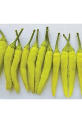 25 Adet Tohum Süs Biberi Tohumu Yeşil Cin Biber Tohumu Saksı Toprak Sürpriz Hediye Tohum - 1