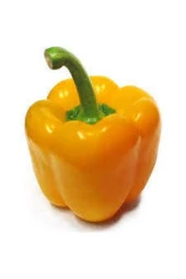 10 Adet Tohum Saksılık Sarı Dolmalık Bibiber Tohumu thumbnail 2