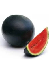 10 Adet Tohum Meşhur Halep Karpuzu Tohumu Halep Karası Karpuz Tohumu Süpriz Hediye Tohum thumbnail 1