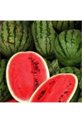 200 Adet Süper Paket Meşhur Diyarbakır Karpuzu Tohumu thumbnail 2