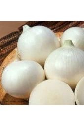 Beyaz Kışlık Kuru Soğan Tohumu 20 Adet - 2