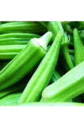 20 Adet Tohum Sultani Bamya Tohumu Bamya Tohumu Saksı Toprak Sürpriz Hediye Tohum - 1