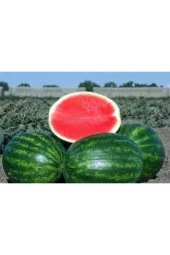 Meşhur Adana Karpuzu Tohumu 100 Adet - 2