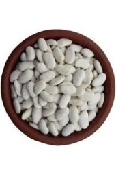 100 Adet Beyaz Fasülye Tohumu thumbnail 2