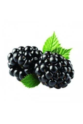 10 Adet Böğürtlen Tohumu Ahududu Tohumu Ithal Böğürtlen Tohumu Sürpriz Hediye Bonsai Ağacı Tohumu thumbnail 1