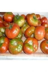100 Adet Tohum Orjinal Köy Domatesi Tohumu Ata Tohum Yerli Tabak Köy Domates Tohumu Sürpriz Hediyeli - 1