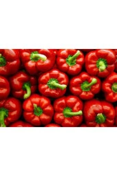 50 Adet Tohum Nadir Kırmızı Dolmalık Biber Tohumu Dolma Biber Tohumu - 1