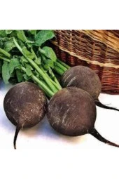 Tohum Siyah Turp Tohumu Kara Turp Tohumu + 50 Adet - 1