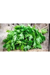 150 Adet Tohum Geniş Yapraklı Italyan Maydonoz Tohumu Saksı Toprak Ata Tohum Sürpriz Hediye Tohum - 1
