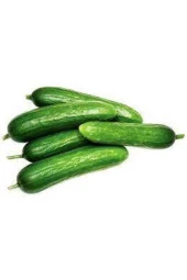 10 Adet Tohum Silor Yerli Parmak Salatalık Tohumu Orjinal Ata Tohum Sülor Salatalık Saksı Toprak Hed thumbnail 4