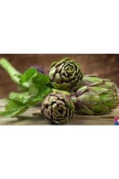 5 Adet Tohum Enginar Tohumu Geleneksel Tohumu Ata Tohum thumbnail 3