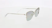 Swarovskı SK0314 17Z Kadın Güneş Gözlüğü thumbnail 3