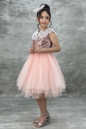 Kız Çocuk Pullu Dantel Yaka Tüllü Elbise thumbnail 2