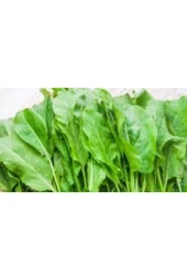 100 Adet  Kuzu Kulağı  Koç Kulağı  Ekşi Otu Tohumu thumbnail 2