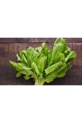 100 Adet  Kuzu Kulağı  Koç Kulağı  Ekşi Otu Tohumu thumbnail 3