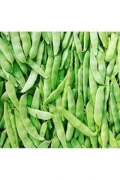 Eko Paket Ayşe Kadın Kılçıksız Fasulye Tohumu 250 Adet thumbnail 1