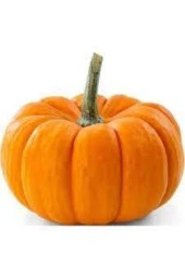 5 Adet Yerli İri Sarı Bal Kabağı Tohumu thumbnail 1